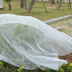 Non Woven Polypropylene Fabric for Agriculture Cover use