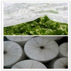 Agriculture non woven fabric